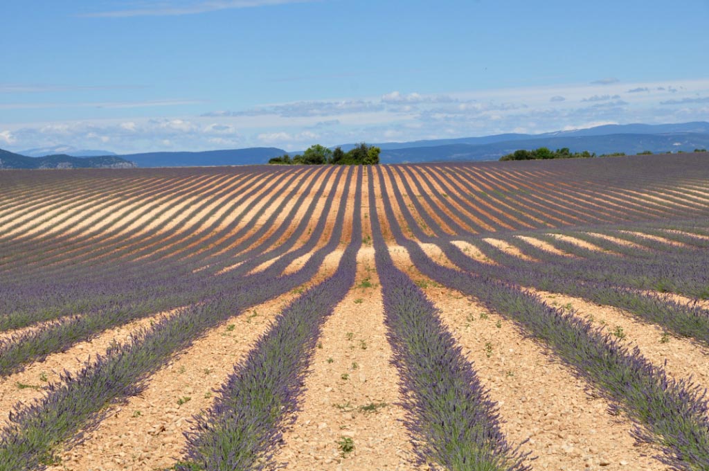 Manosque